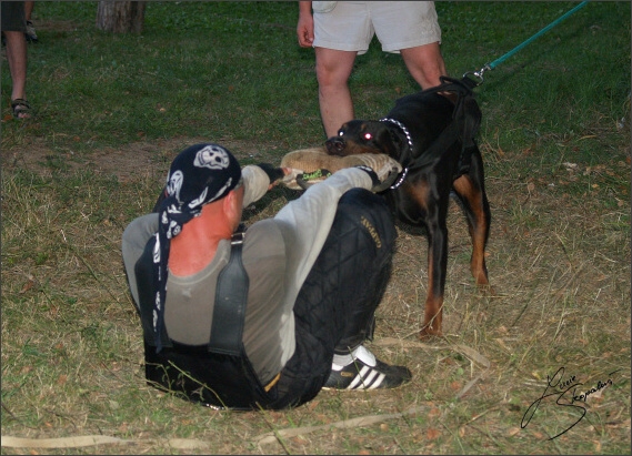 Summer training camp - Jelenec - 2007